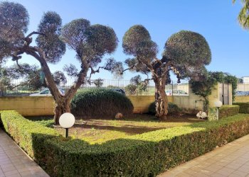 Foto 28 - Trilocale Via Don Gaetano Grandolfo
 
20, Casamassima - foto 28