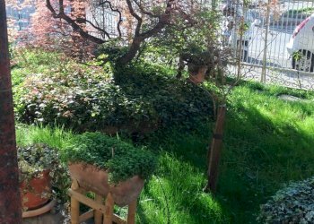 Foto 5 - Appartamento corso Svizzera
 
76, Torino - foto 5