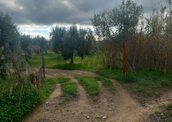 Giardino - Terreno agricolo str. nuova formazione, Dolianova - foto 1