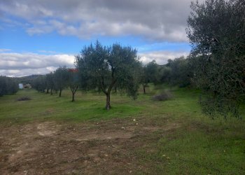 Giardino - Terreno agricolo str. nuova formazione, Dolianova - foto 16