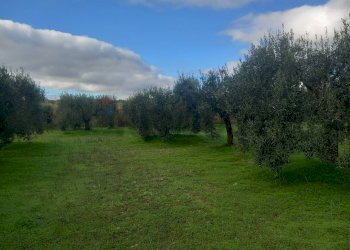 Giardino - Terreno agricolo str. nuova formazione, Dolianova - foto 34