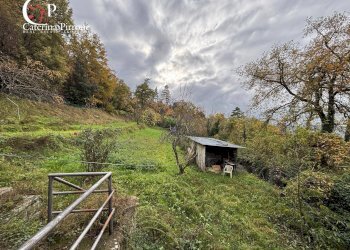 Foto 31 - Independent house località Podere Fornace
 
3, Reggello - photo 31