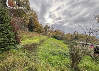 Foto 32 - Independent house località Podere Fornace
 
3, Reggello - photo 32