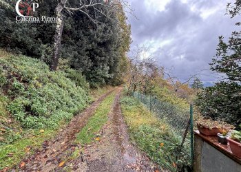 Foto 38 - Independent house località Podere Fornace
 
3, Reggello - photo 38