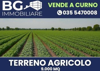 Foto 1 - Agricultural land Curno - photo 1