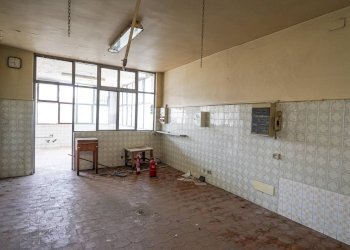 Foto 62 - Stable - Palace Via vittorio Veneto
 
1, Bonate Sotto - photo 60