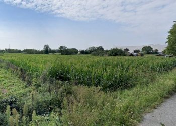 Foto 3 - Terreno agricolo Via San Geminiano, Bonate Sopra - foto 3