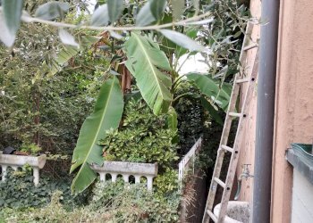 Foto 19 - Villa VIA VERDELLINO
 
40, Osio Sotto - foto 19