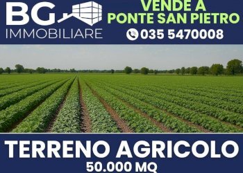 Foto 1 - Terreno agricolo Ponte San Pietro - foto 1