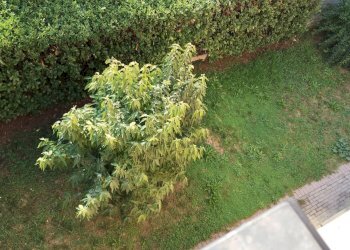 Foto 14 - Villa Via circonvallazione, Fontanella - photo 14