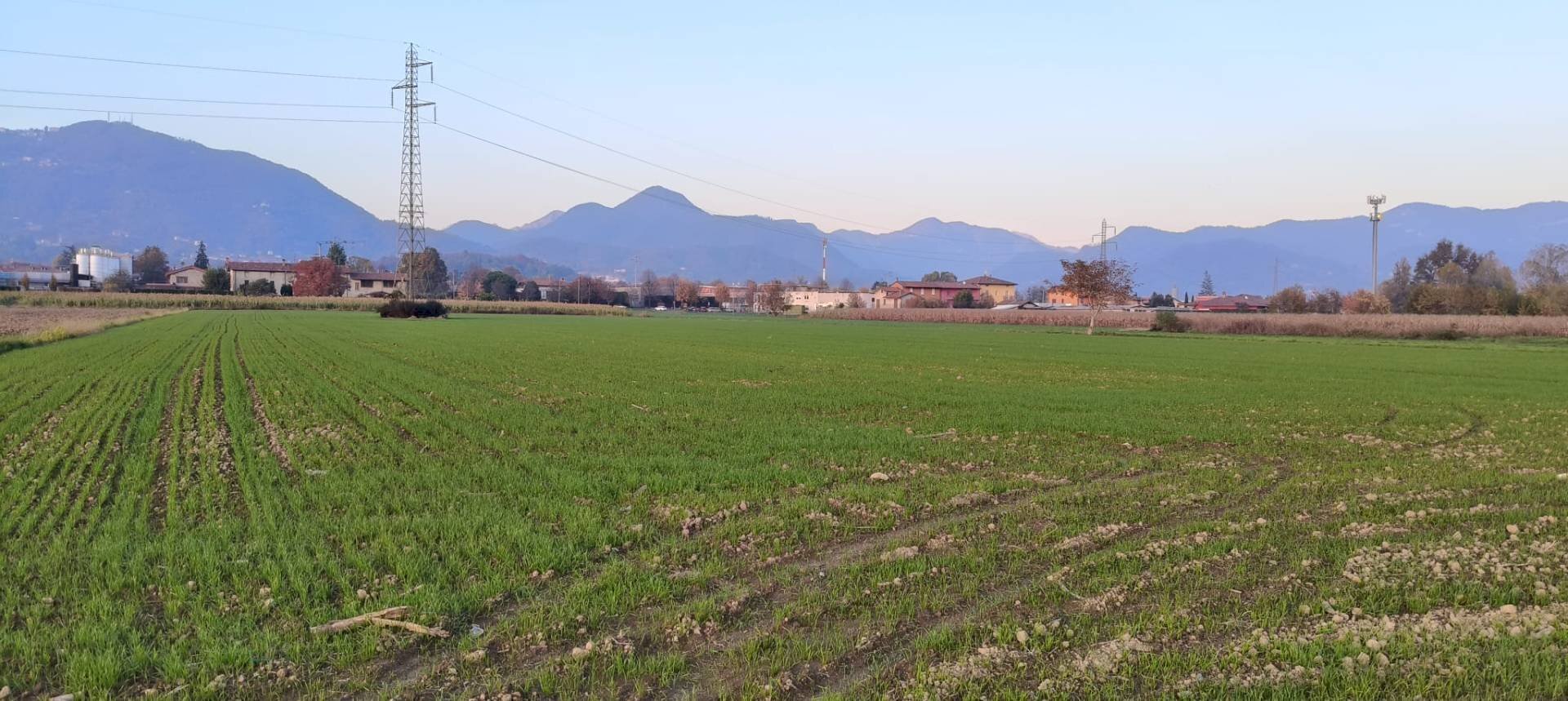 Foto 1 - Terreno agricolo via Arzenate, Barzana - foto 1