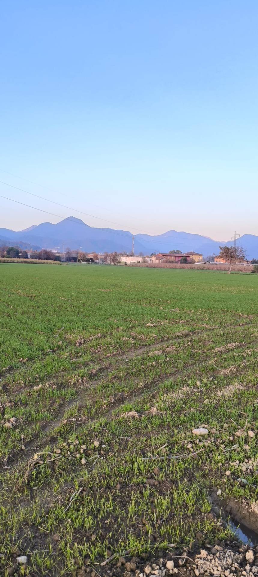 Foto 2 - Terreno agricolo via Arzenate, Barzana - foto 2