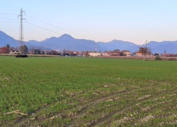 Foto 1 - Terreno agricolo via Arzenate, Barzana - foto 1