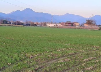 Foto 2 - Terreno agricolo via Arzenate, Barzana - foto 2