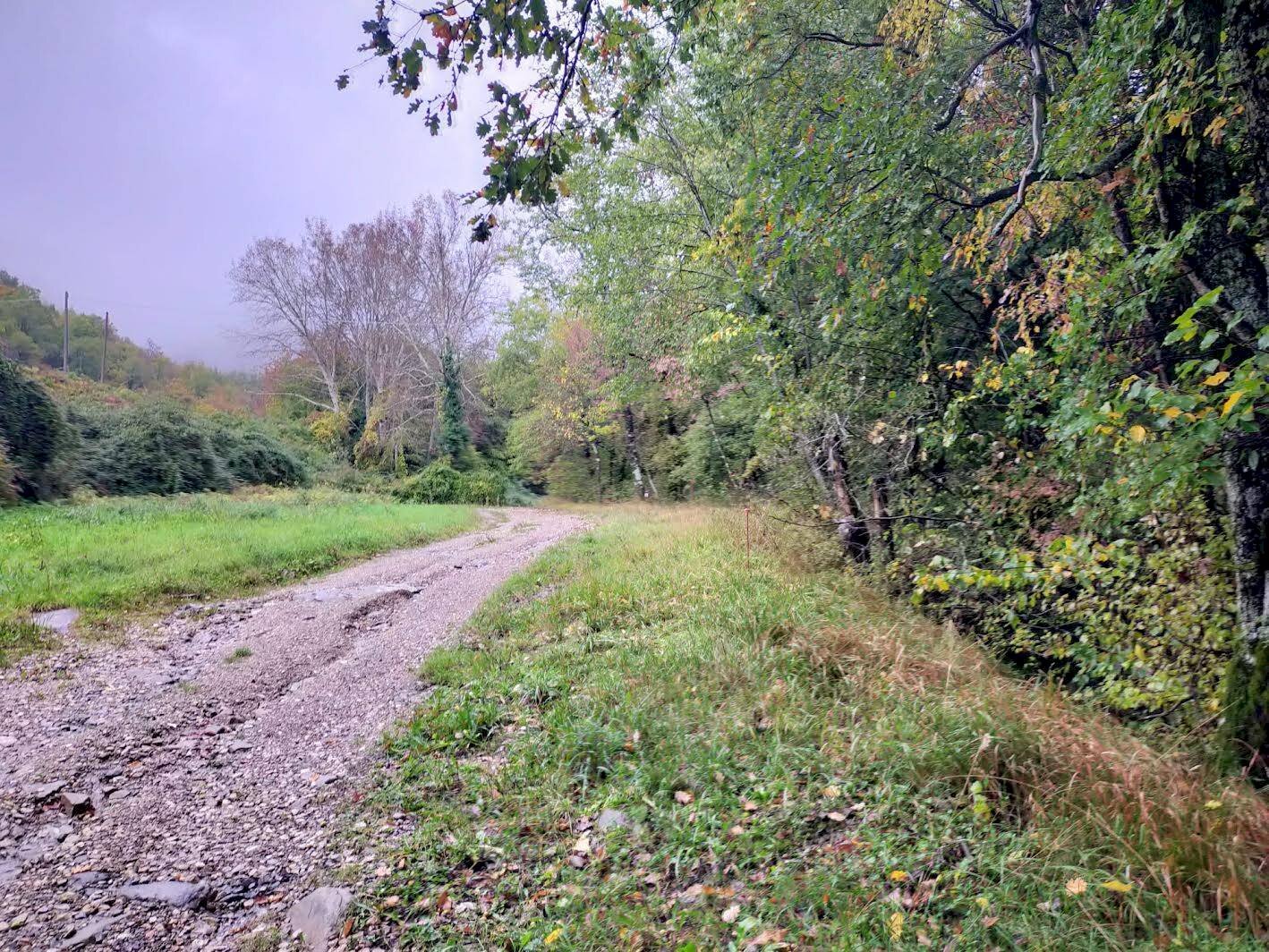 Foto 3 - Rustico Via del Giogo
 
4, Scarperia e San Piero - foto 3