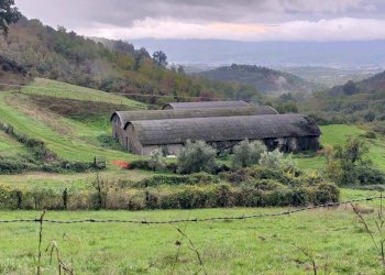 Foto 14 - Rustico Via del Giogo
 
4, Scarperia e San Piero - foto 14