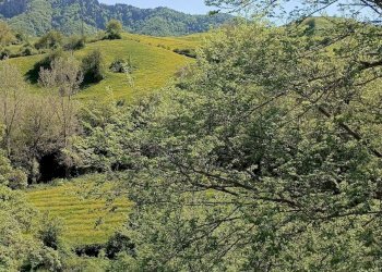 Foto 10 - Rustico Località Casaglia, Borgo San Lorenzo - foto 10