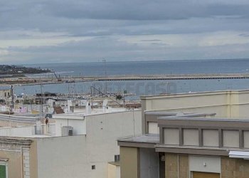 IMG-20251127-WA0009.jpg - Three-room apartment Via Natale Palummo Senatore 8, Molfetta - photo 4