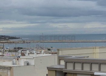 IMG-20251127-WA0010.jpg - Three-room apartment Via Natale Palummo Senatore 8, Molfetta - photo 5