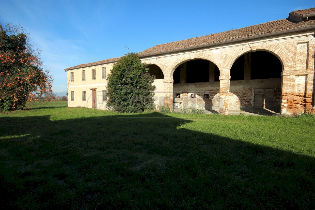 IMG_0006.JPG - Rustico Camisano Vicentino - foto 1