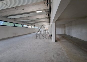 capannone-affitto-lucca-fusca_4.jpg - Locale Commerciale Via di Sant'Alessio 754/A, Lucca - foto 3