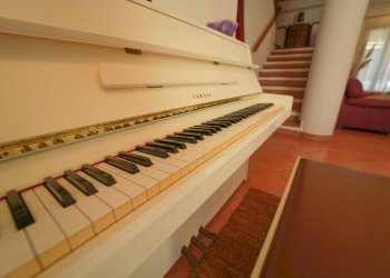 DSC01301.jpg - Villetta Via Romagna 21, Savignano sul Rubicone - foto 21