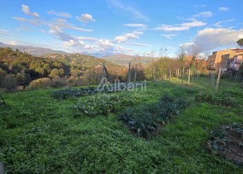 IN505_bifamiliare in vendita con uliveto box auto - Casa indipendente Arcola - foto 9