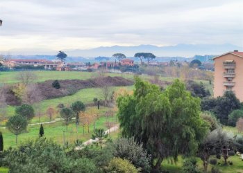 20.jpg - Bilocale Via Guglielmo Petroni 38, Roma (zona Casal Boccone) - foto 20