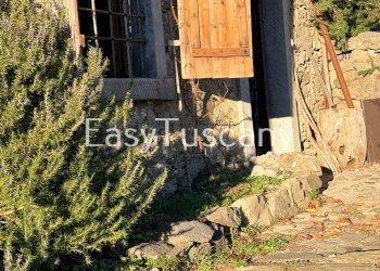 image00022.jpeg - Casale Località Casolare Bovaio 4, Fabbriche di Vergemoli - foto 22