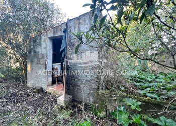 WhatsApp Image 2025-12-15 at 09.35.36 (4).jpeg - Rustico Alghero - foto 19