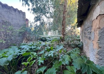 WhatsApp Image 2025-12-15 at 09.35.36 (5).jpeg - Rustico Alghero - foto 20