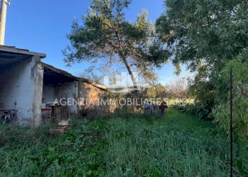 WhatsApp Image 2025-12-15 at 09.35.37 (1).jpeg - Rustico Alghero - foto 23