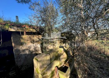 WhatsApp Image 2025-12-15 at 09.35.37 (7).jpeg - Rustico Alghero - foto 28