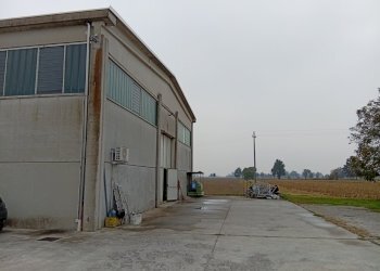 IMG_20251020_111619.jpg - Locale Commerciale Via San Remigio 43, Sabbioneta - foto 5