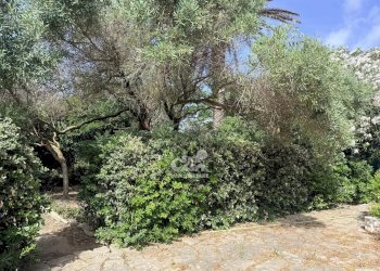 Villa Marsala - photo 34