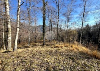 Rustico Frazione Oneglie, Sagliano Micca - foto 9