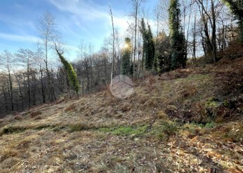 Rustico Frazione Oneglie, Sagliano Micca - foto 16