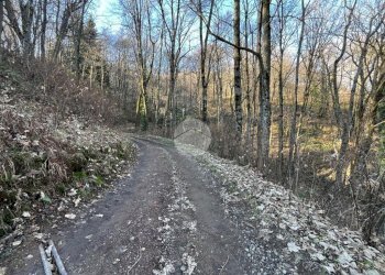 Rustico Frazione Oneglie, Sagliano Micca - foto 20