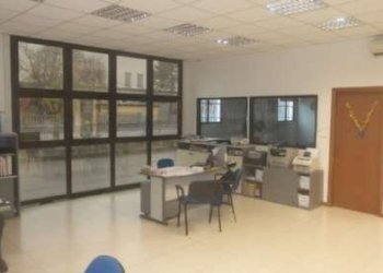 Capannone Modena - foto 2