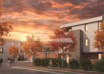 Attic Carpi - photo 9