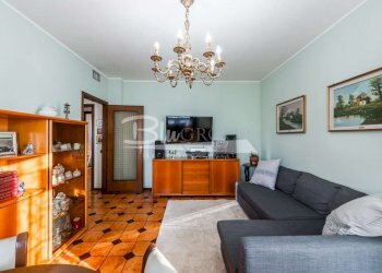 Shop Carpi - photo 13