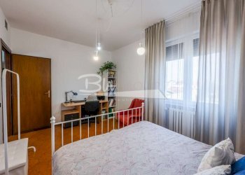 Shop Carpi - photo 19