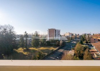 Shop Carpi - photo 28