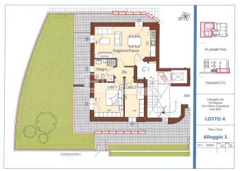 Attic Carpi - photo 1