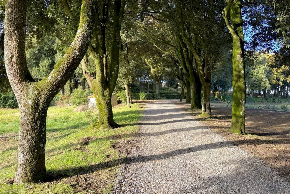 Villa VIA PRINCIPE SPADA, Castel Viscardo - photo 3