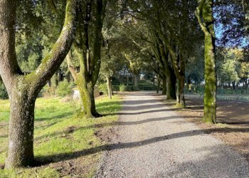 Villa VIA PRINCIPE SPADA, Castel Viscardo - photo 3