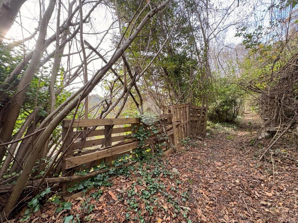 Terreno agricolo Via Acqua benedetta, Sant'Olcese - foto 2