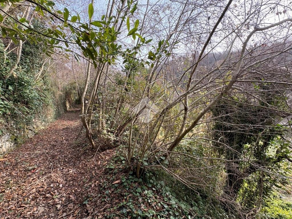 Terreno agricolo Via Acqua benedetta, Sant'Olcese - foto 3