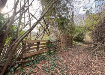 Agricultural land Via Acqua benedetta, Sant'Olcese - photo 2