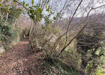 Agricultural land Via Acqua benedetta, Sant'Olcese - photo 3